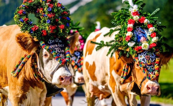 Voyage organisé Tyrol