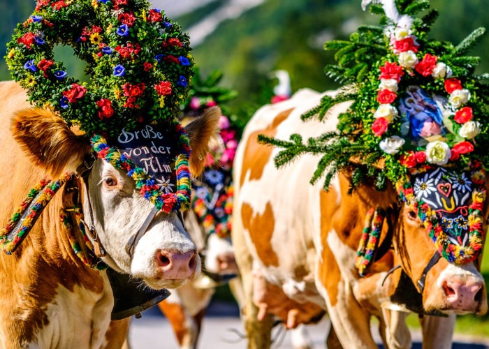 Voyage organisé Tyrol