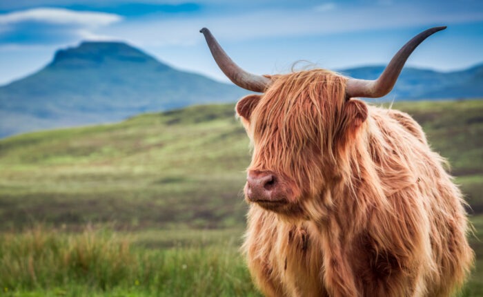 Ecosse avec Perraud Voyage