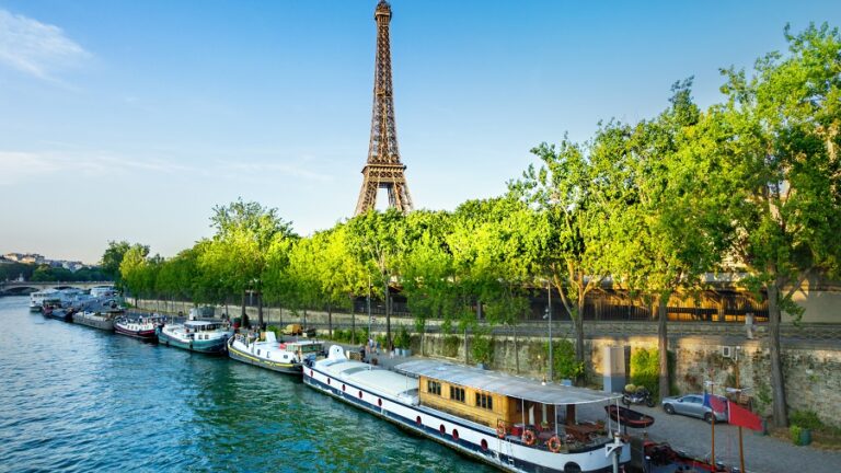 Île de la Cité au cœur de Paris