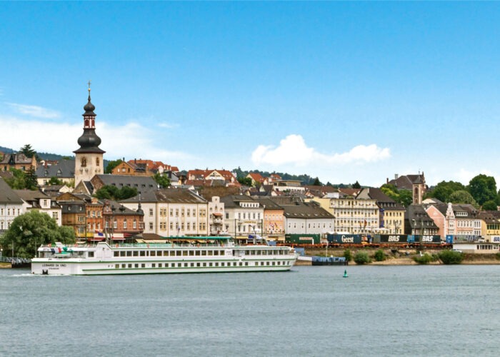 Croisière sur le Rhin romantique en Allemagne