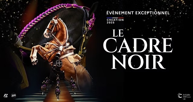 Cheval et cavalier du spectacle Le Cadre Noir à Lyon